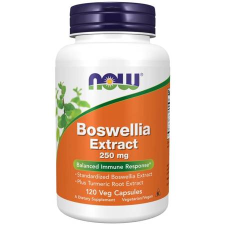 Now Foods Boswellia Extract 250 mg 120 kapsułek